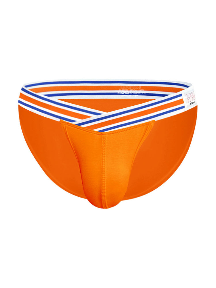2-pack Men's Striped V-waist High-cut Briefs