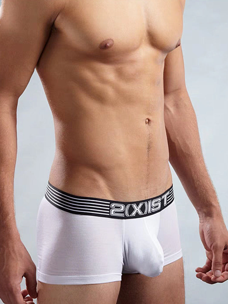 2(X)IST Men's Sports Mesh Breathable Briefs