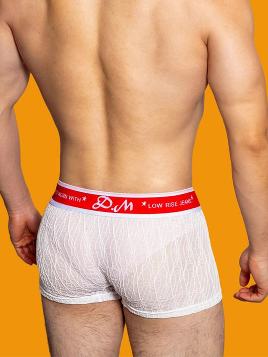 3 Pack Men's Lace Mesh Quick-Drying Breathable Solid Color Trunks