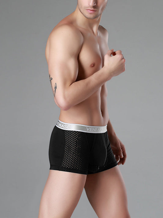 Men's Mesh Separate Pouch Trunks With Fly