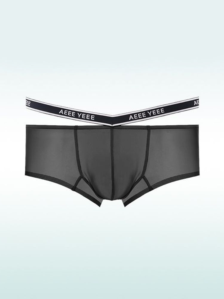 Men's Transparent Ice Silk Waistband Separate Briefs