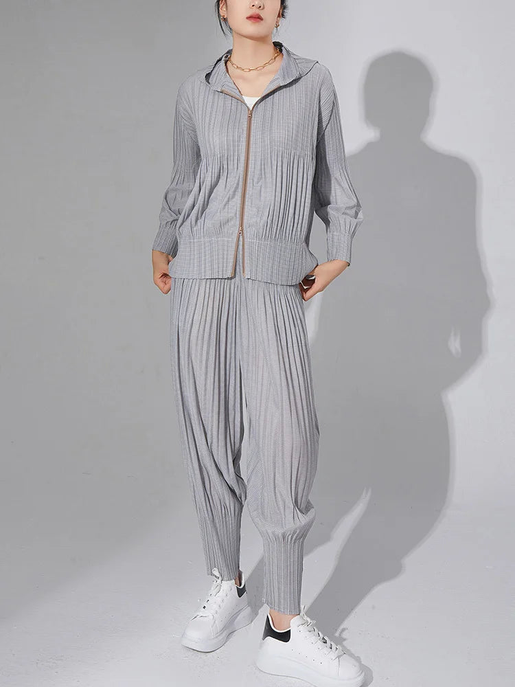 Modern Pleated Harem 2-Piece Set