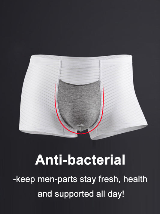 2 Pack Silk Striped Men's Super Thin Underwear